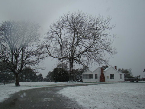 Buttons Cottage For Canyon & Rain Forest Walks With In House Dining - Accommodation Broome 11