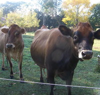 Drumreagh Bed  Breakfast Cabins - Accommodation Broome