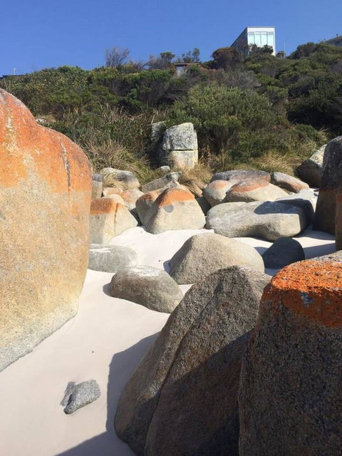 Holland House Bay Of Fires - Accommodation Broome 5