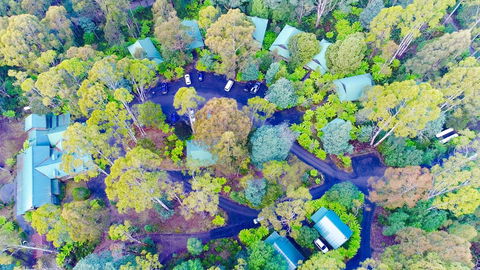 Lemonthyme Wilderness Retreat - Accommodation Broome 1