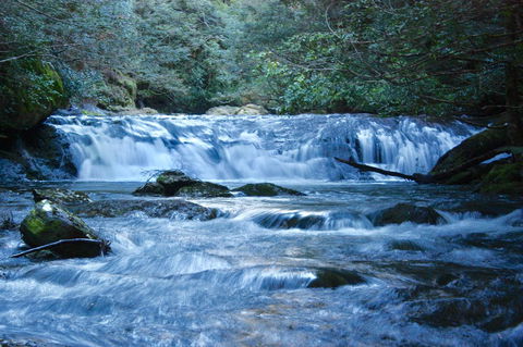 Lemonthyme Wilderness Retreat - Accommodation Broome 10