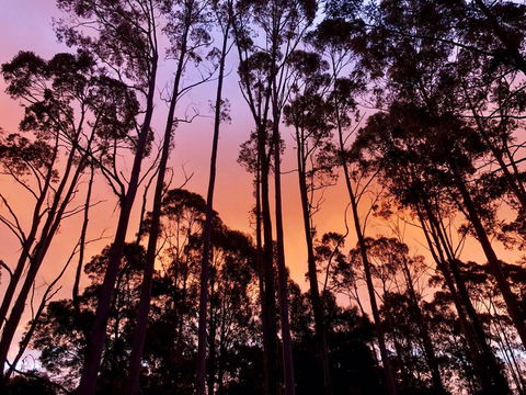 Lemonthyme Wilderness Retreat - Accommodation Broome 8