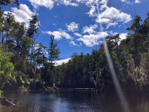 Lemonthyme Wilderness Retreat - Accommodation Broome 7