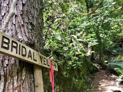 Lemonthyme Wilderness Retreat - Accommodation Broome 18