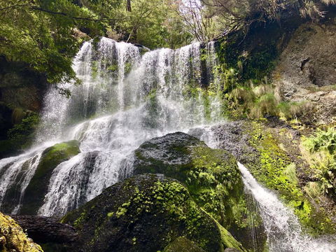 Lemonthyme Wilderness Retreat - Accommodation Broome 14