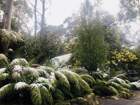 Lemonthyme Wilderness Retreat - Accommodation Broome 16