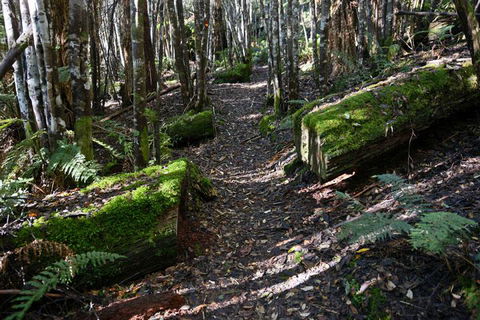 Lemonthyme Wilderness Retreat - Accommodation Broome 22