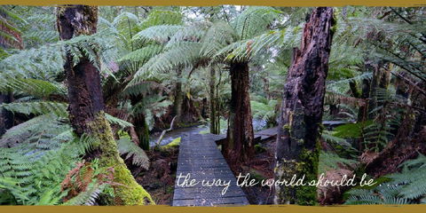 Lemonthyme Wilderness Retreat - Accommodation Broome 17