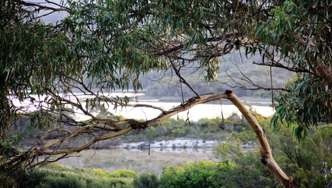 KINGFISHER COTTAGE Beachfront At The Binalong Bay - Accommodation Broome 17