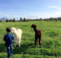 Taras Richmond Farmstay - Accommodation Broome