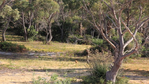 BAY OF FIRES SEACHANGE Ocean Frontage - Accommodation Broome 12