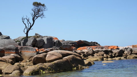 BAY OF FIRES SEACHANGE Ocean Frontage - Accommodation Broome 21