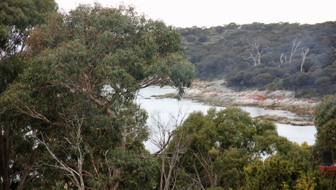 BAY OF FIRES SEACHANGE Ocean Frontage - Accommodation Broome 15