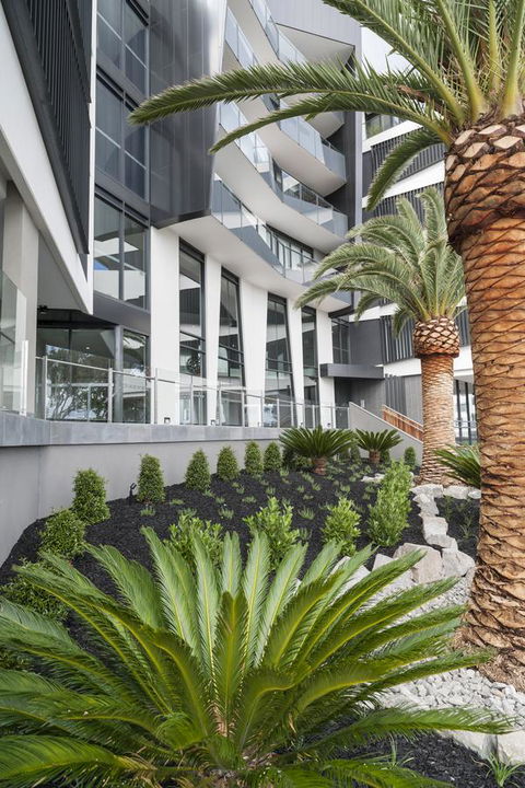 Caroline Serviced Apartments Sandringham - Accommodation Broome 3