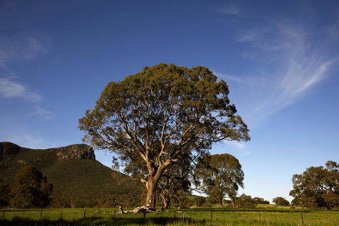 Dunkeld Studio Accommodation - Accommodation Broome 23
