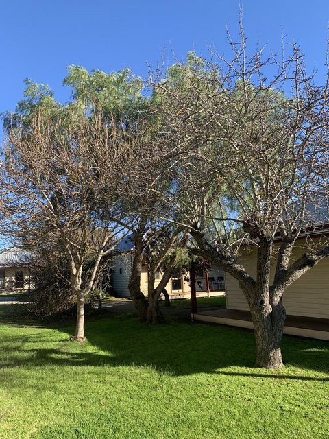 Dunkeld Studio Accommodation - Accommodation Broome 4