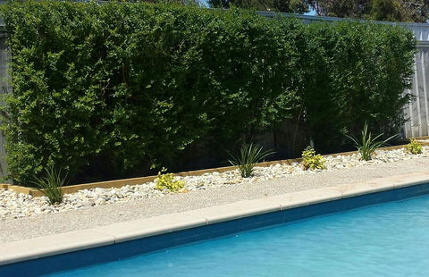 Robinvale Bridge Motel - Accommodation Broome 0