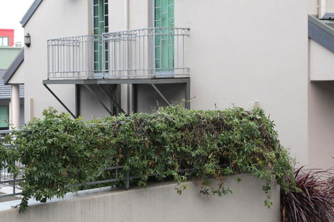 Quality Inn & Suites The Menzies - Accommodation Broome 23