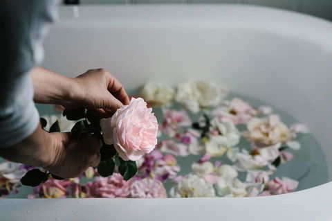 Acre Of Roses - Accommodation Broome 7