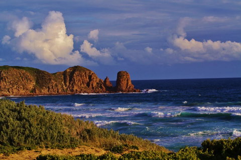 Arcadia Phillip Island - Accommodation Broome 27