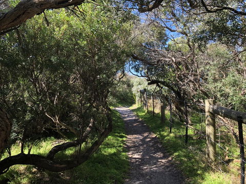 Beautiful, Cosy And Quiet - Accommodation Broome 20