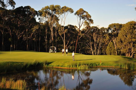 RACV Goldfields Resort - Accommodation Broome 31
