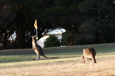 Lakeside At Mallacoota - Accommodation Broome 37