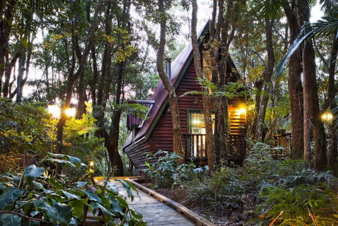 The Mouses House Rainforest Retreat - Accommodation Broome 1
