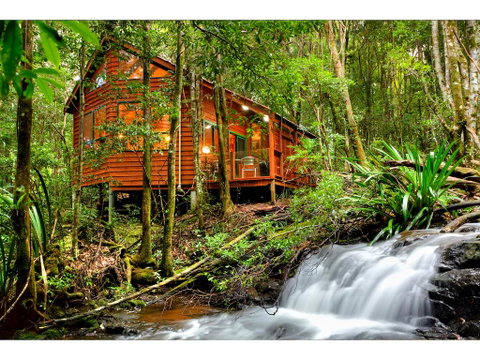 The Mouses House Rainforest Retreat - Accommodation Broome 0
