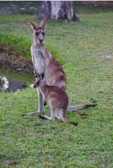 The Zen Den Adults Only - Accommodation Broome 3