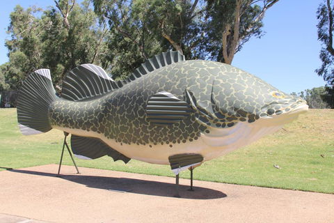 Tocumwal Hotel Motel (The Palms) - Accommodation Broome 1