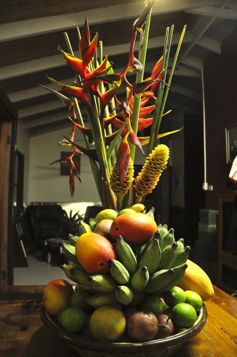 Tropical Bliss Bed And Breakfast - Accommodation Broome 3