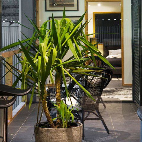 Val D'Argent Equestrian Centre - Accommodation Broome 2