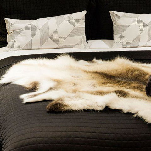 Val D'Argent Equestrian Centre - Accommodation Broome 1