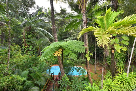 Wait A While Daintree - Accommodation Broome 3