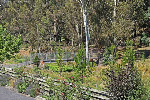 Main Lead Ballarat Motel - Accommodation Broome 5