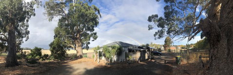 Minni Gums - Accommodation Broome 11