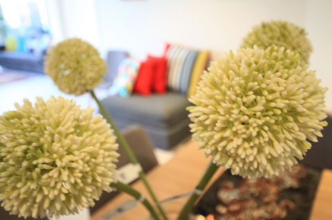 Nest-Apartments On QV - Accommodation Broome 8