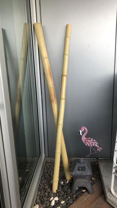 Nest-Apartments On QV - Accommodation Broome 1