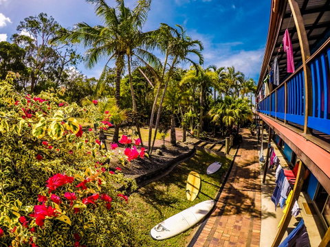 Cool Bananas Backpackers - Accommodation Broome 17