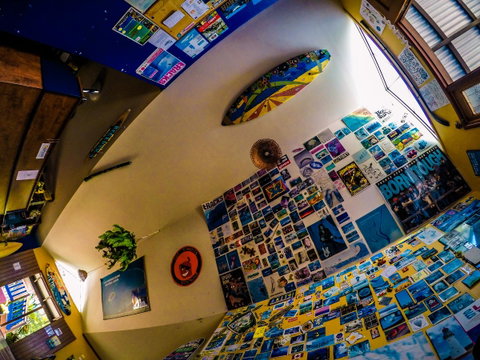 Cool Bananas Backpackers - Accommodation Broome 29