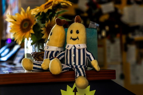 Cool Bananas Backpackers - Accommodation Broome 30
