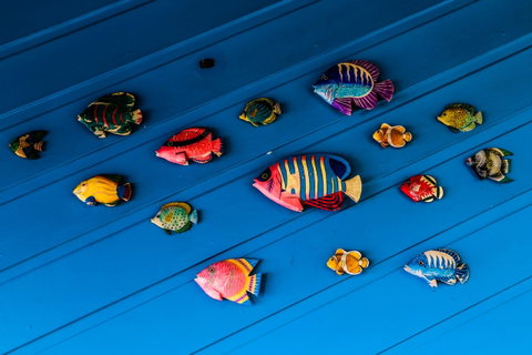 Cool Bananas Backpackers - Accommodation Broome 20