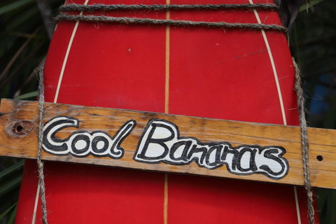 Cool Bananas Backpackers - Accommodation Broome 41