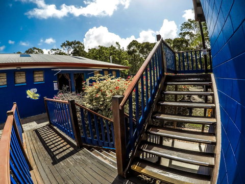 Cool Bananas Backpackers - Accommodation Broome 27