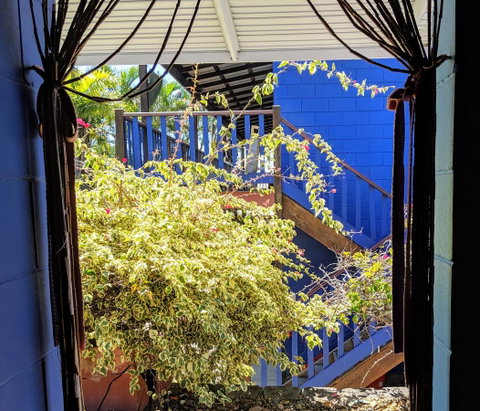 Cool Bananas Backpackers - Accommodation Broome 10