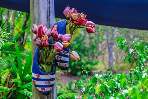 Cool Bananas Backpackers - Accommodation Broome 26