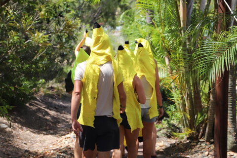 Cool Bananas Backpackers - Accommodation Broome 19