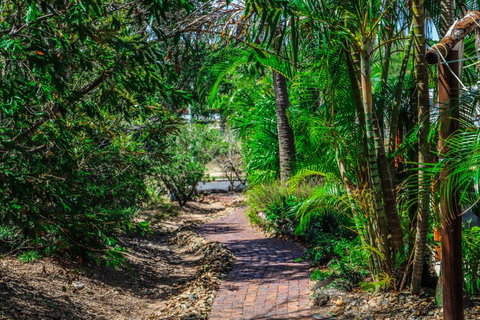Cool Bananas Backpackers - Accommodation Broome 15