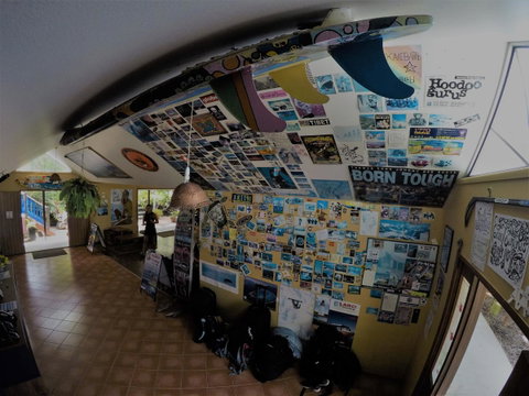 Cool Bananas Backpackers - Accommodation Broome 31